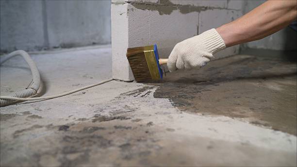 Crawl space vapor barrier installation in Birch Run, MI